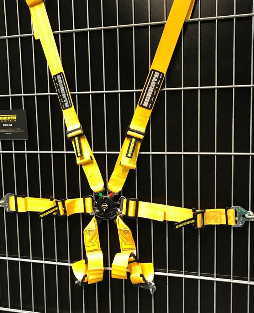 Schroth Harness - Flexi 2x2 6pt Belt – GregsRaceParts.com