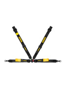 Schroth Harness - 4pt Bolt-In