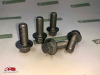 Rear Undertray Bolts (OE)