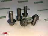 Rear Undertray Bolts (OE)