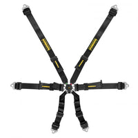 Schroth Harness - Flexi 2x2 6pt Belt