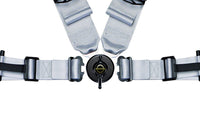 Schroth Harness Profi II 4pt ASM RFR Camlock Harness
